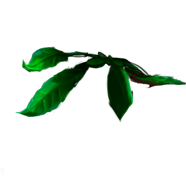 Beautiful green leaves moving with a windy effect