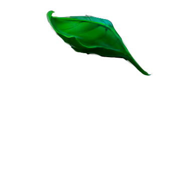 Beautiful green leaves moving with a windy effect