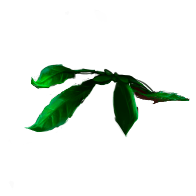 A part of the animated logo, the name is leaf_1/leaf_1_middle