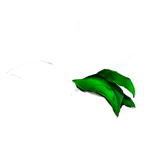 Magic glow on a leaf on the Ardaria logo